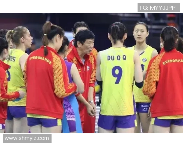 深圳排球队实力引发热议球迷对球队未来发展意见不一