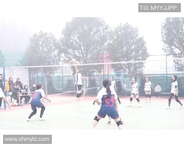 西安排球队在排球团队协作中创下新高展现出卓越的团队精神与默契配合