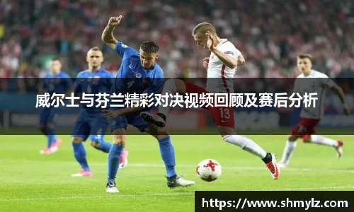威尔士与芬兰精彩对决视频回顾及赛后分析