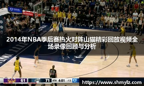 2014年NBA季后赛热火对阵山猫精彩回放视频全场录像回顾与分析
