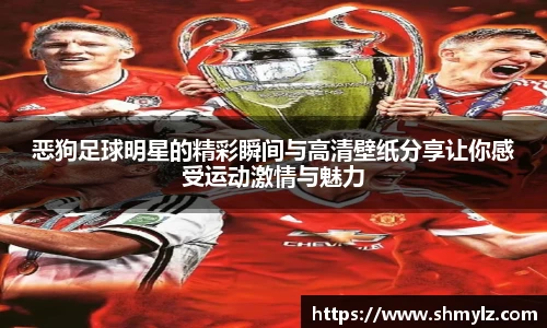 恶狗足球明星的精彩瞬间与高清壁纸分享让你感受运动激情与魅力